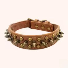 Collier clouté marron pour chien - vue de face avec rivets métalliques