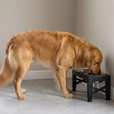 Gamelle Chien anti-dérapante s'adapte à la morphologie de chaque animal
