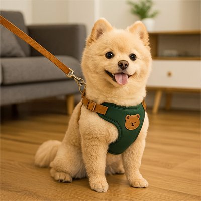 Harnais pour petit Chien | Confort Sécurisé - Galaxie Des Chiens