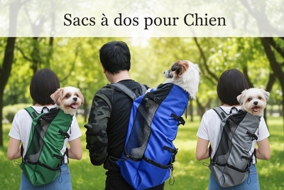 Sacs à dos pour Chien