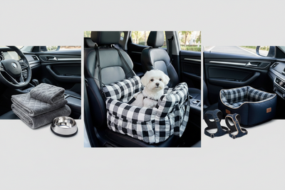 Transport Voiture pour Chien