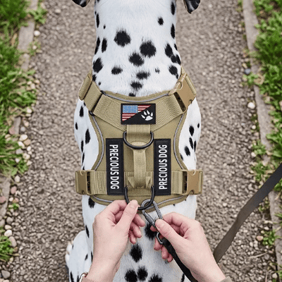 Harnais pour Chien