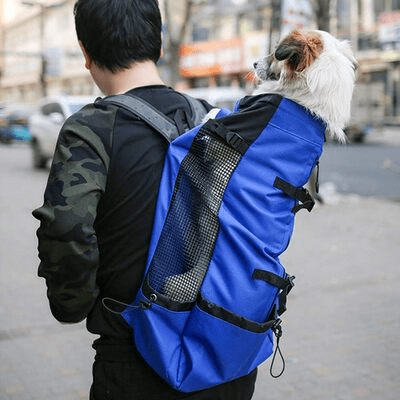 Sac à Dos pour Chien - PetBackpack™ - Bleu - Galaxie Des Chiens