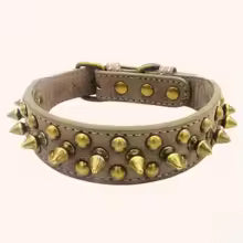 Collier clouté kaki pour chien - vue de face avec rivets métalliques et fermeture
