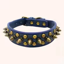 Collier clouté bleu pour chien - gros plan sur les rivets décoratifs