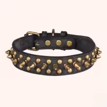 Collier clouté pour chien élégant et sécurisé - vue détail des rivets