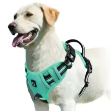 Harnais pour chien porté -Comfort Secure -vert clair système de fermeture sécurisé