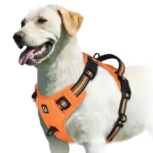 Harnais pour chien Comfort Secure - orange gros plan sur les boucles