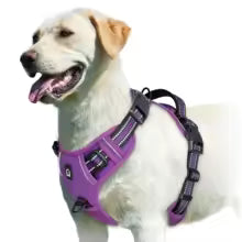 Harnais pour chien Comfort Secure - mauve système de fermeture sécurisé