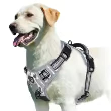 Harnais pour chien gris Comfort Secure - système de fermeture sécurisé