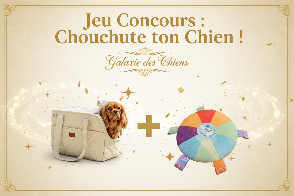 Bannière Jeu Concours avec + entre les deux produits