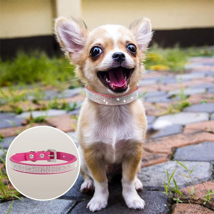 Collier chien Strass | Résistant et Confortable - Galaxie Des Chiens