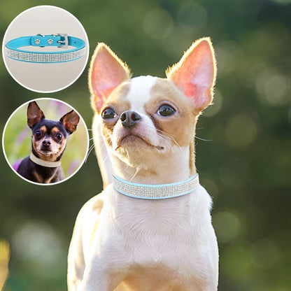 Collier chien Strass | Résistant et Confortable - Galaxie Des Chiens