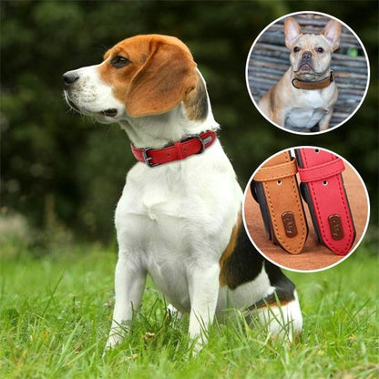 Collier chien en cuir robuste et ajustable | Sécuriflex - Galaxie Des Chiens