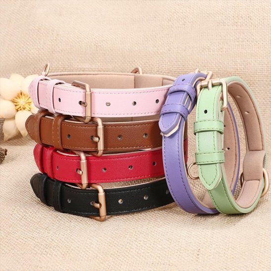 Collier chien