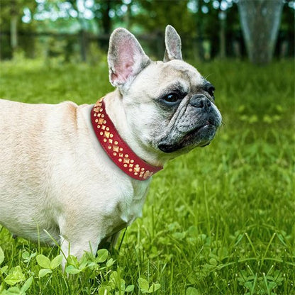 Collier chien cuir véritable - porté chien élégant promenade parc