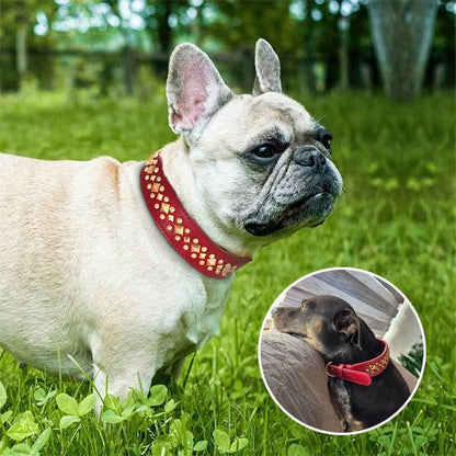 Collier chien cuir véritable - détail texture cuir naturel résistant