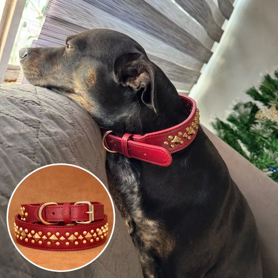 Collier chien cuir véritable - largeur confort pression répartie sur le cou