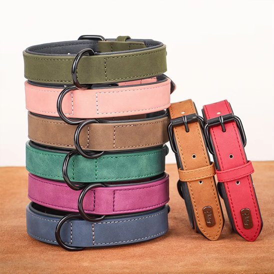 Collier chien en cuir robuste et ajustable | Sécuriflex - Galaxie Des Chiens