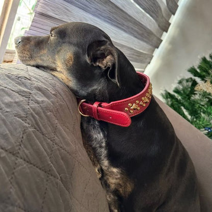 Collier chien cuir véritable - entretien facile nettoyage chiffon humide