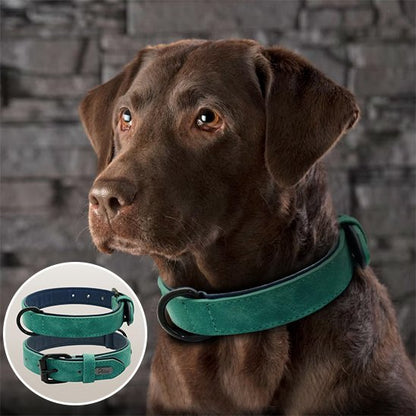 Collier chien en cuir robuste et ajustable | Sécuriflex - Galaxie Des Chiens