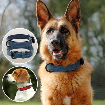 Collier chien en cuir robuste et ajustable | Sécuriflex - Galaxie Des Chiens