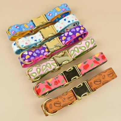Collier chiot | Ajustable et Résistant - Galaxie Des Chiens