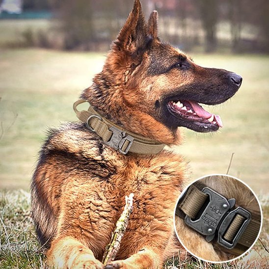 Collier pour chien tactique | Élégance Ajustable - Galaxie Des Chiens