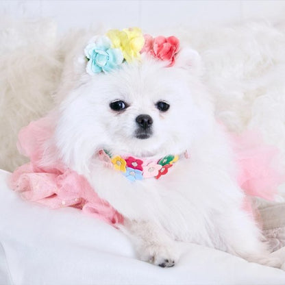 Collier pour petit chien | Résistant & Ajustable - Galaxie Des Chiens