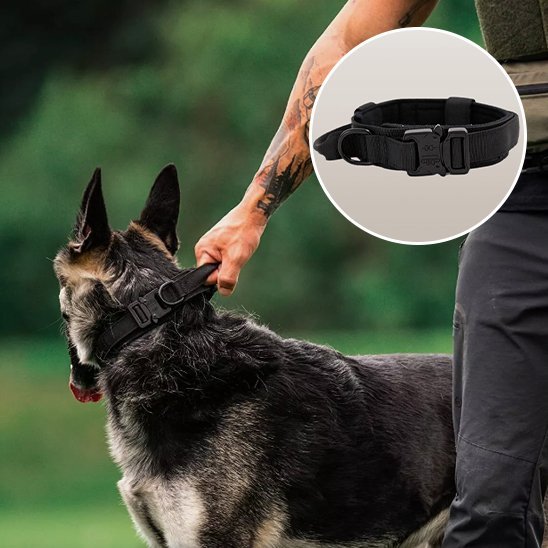 Collier pour chien tactique | Élégance Ajustable - Galaxie Des Chiens