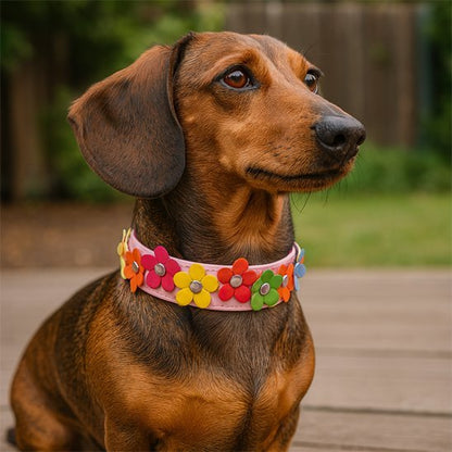 Collier pour petit chien | Résistant & Ajustable - Galaxie Des Chiens
