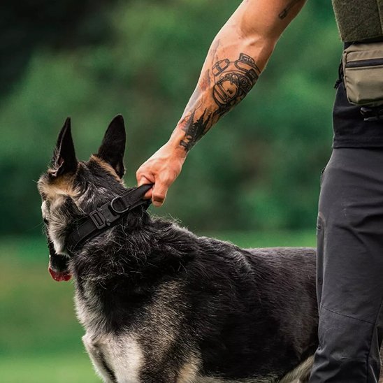 Collier pour chien tactique | Élégance Ajustable - Galaxie Des Chiens