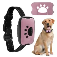 collier_anti_aboiement_boitier-rose _pour_chien-gros-plan-sur-ensemble