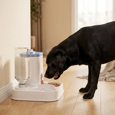 Distributeur de croquettes automatique programmable-grand chien devant qui mange-