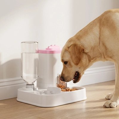 Distributeur de croquettes automatique programmable couvercle rose-réserve à eau-