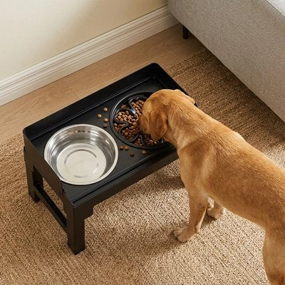 Gamelle chien surélevée – bol rempli de croquettes débordant côté droit avec rebord protecteur noir