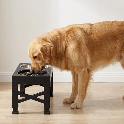 Gamelle chien surélevée structure robuste en plastique renforcé pieds réglables