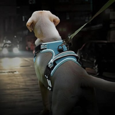 Harnais pour chien Comfort Secure - vue arrière avec poignée
 Galaxie Des Chiens