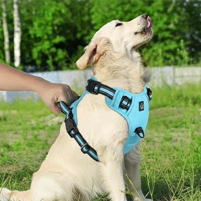 Harnais chien | Comfort Secure -  vue arrière avec poignée 
Galaxie Des Chiens