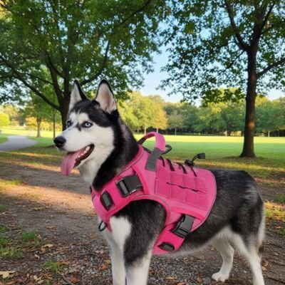 Harnais chien tactique | ComfortGrip Ajustable - Galaxie Des Chiens