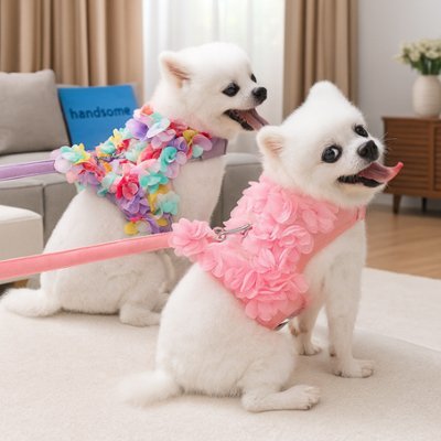 Harnais petit Chien | Sécuriflex - Galaxie Des Chiens