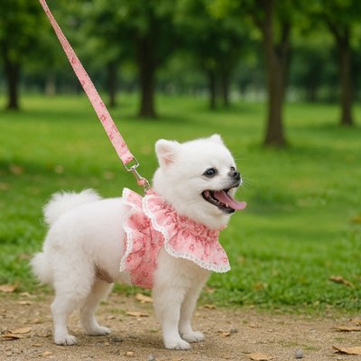 Harnais petit Chien | Sécuriflex - Galaxie Des Chiens