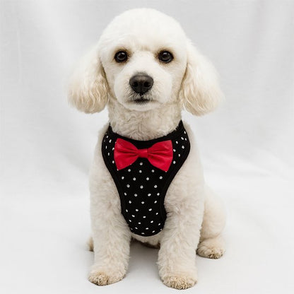 Harnais petit chien | Confort Ajustable - Galaxie Des Chiens