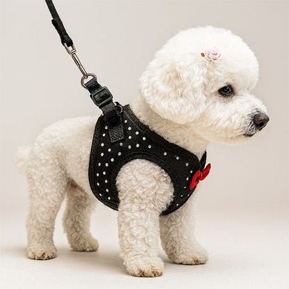 Harnais petit chien | Confort Ajustable - Galaxie Des Chiens