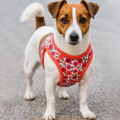 Harnais porté face rouge fleuri petit chien | Confort Sécurité - Galaxie Des Chiens