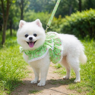 Harnais petit Chien | Sécuriflex - Galaxie Des Chiens