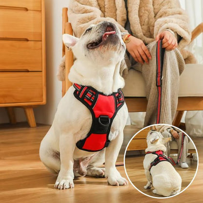 Harnais pour chien | Confort Sécurisé - Galaxie Des Chiens