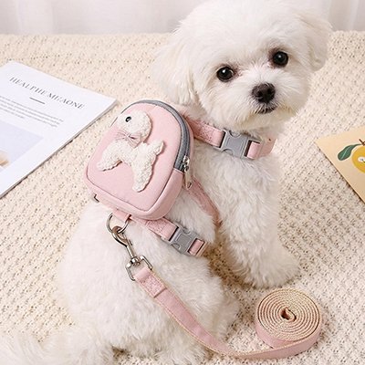 Harnais pour chien | Confort Anti - Traction - Galaxie Des Chiens