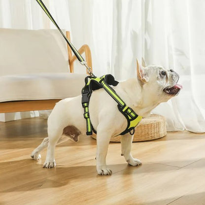 Harnais pour chien | Confort Sécurisé - Galaxie Des Chiens