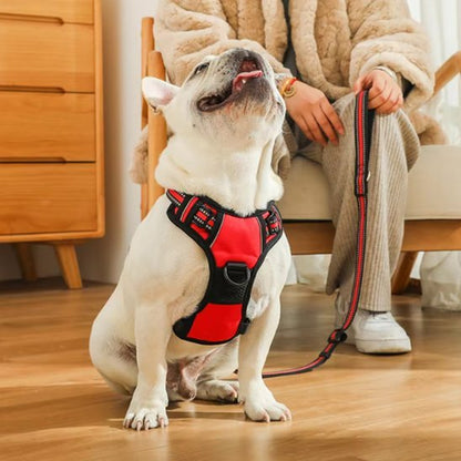 Harnais pour chien | Confort Sécurisé - Galaxie Des Chiens